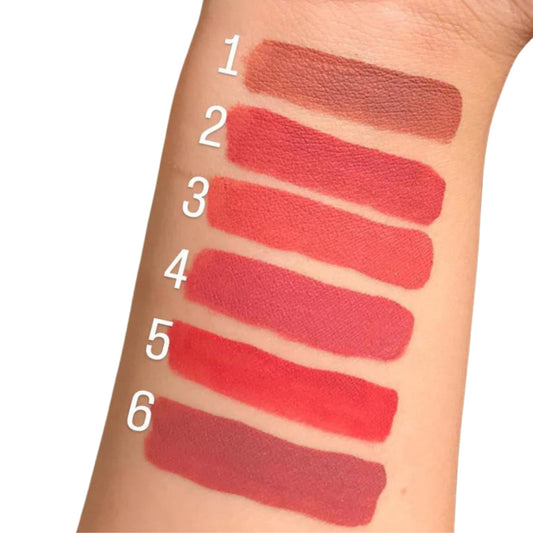 Selnora | Color Castle | Liquid Matte Lip Gloss Set