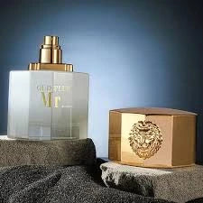 Selnora | Sellion Mr Oud Plus Perfume For Unisex – 100 ml